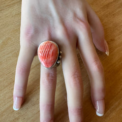 Large Spiny Oyster Ring